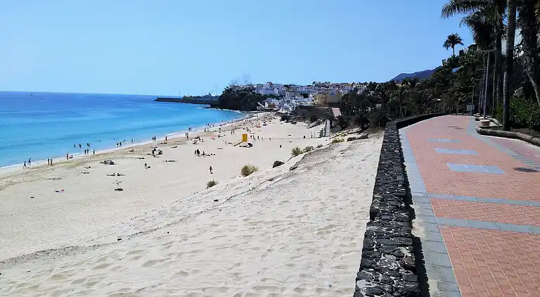 Apartments Palm Garden