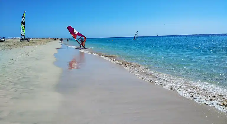 Apartments Palm Garden
