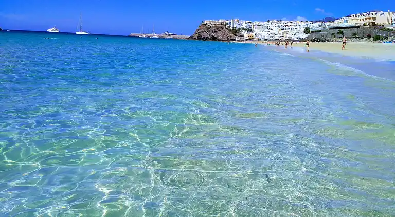 Apartments Palm Garden