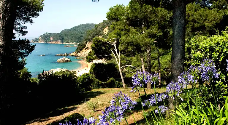 Ferielejlighed i Lloret de Mar