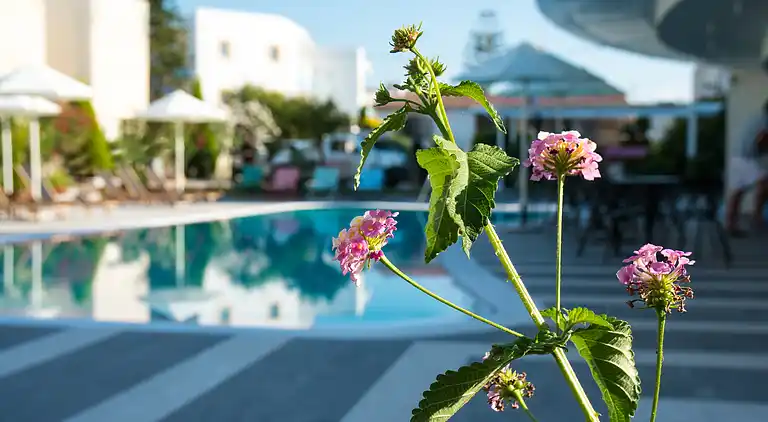 Appartement in Kato Guwes