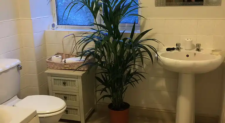 Cosy cottage sleeps 6 suit families, contractors, couples