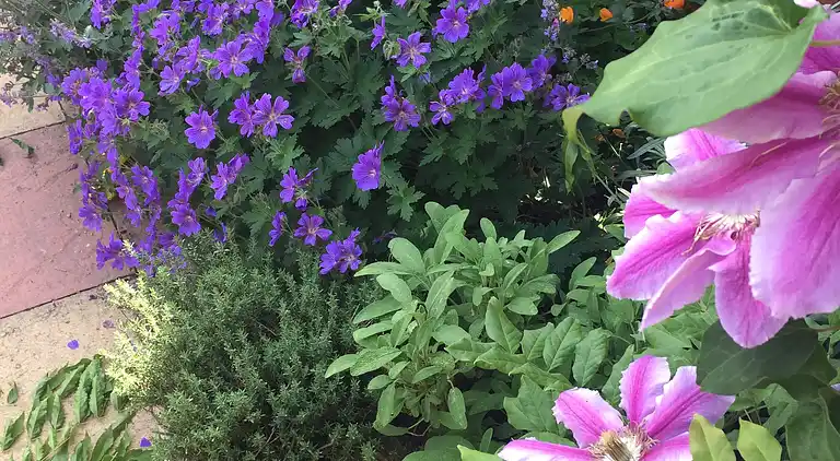 Cosy cottage sleeps 6 suit families, contractors, couples