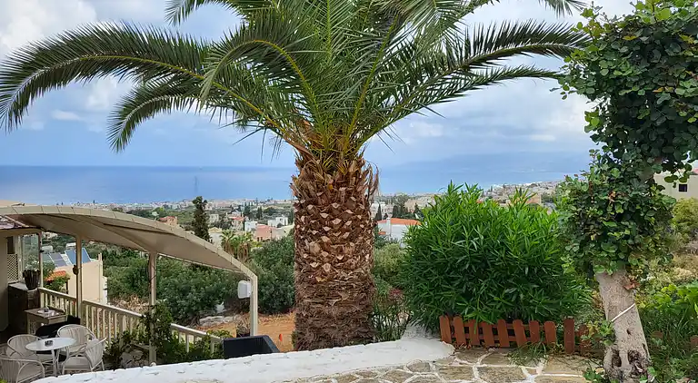 Executive Junior Suite