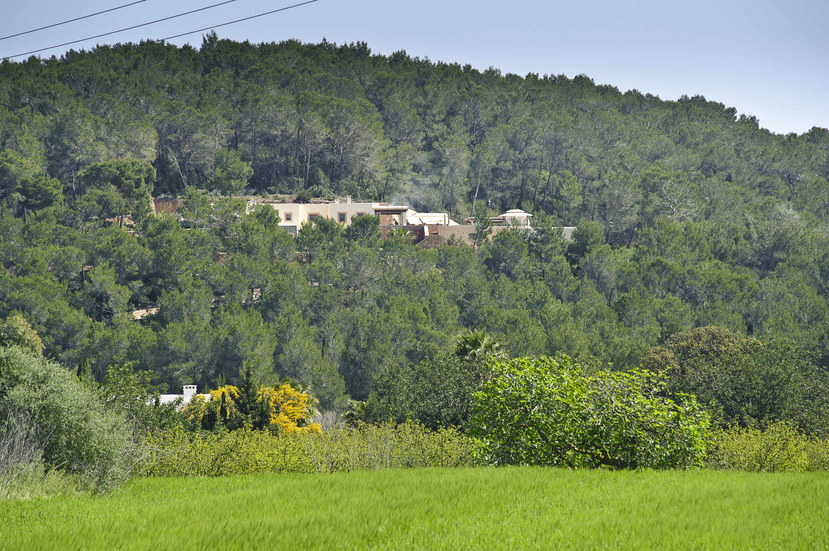 Large Image