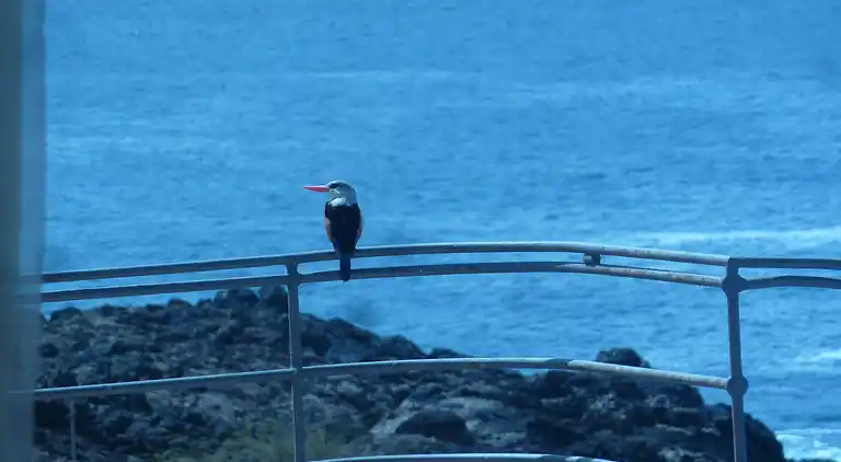 Villa Halcyon Cabo Verde in Strandnähe