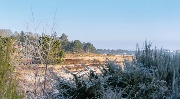 Dejligt sommerhus med havudsigt og pool