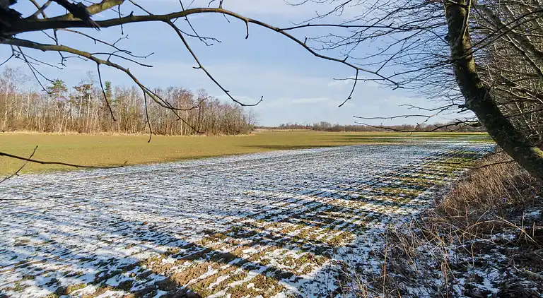 Ferienhaus nahe idyllischem, ruhigem Strand
