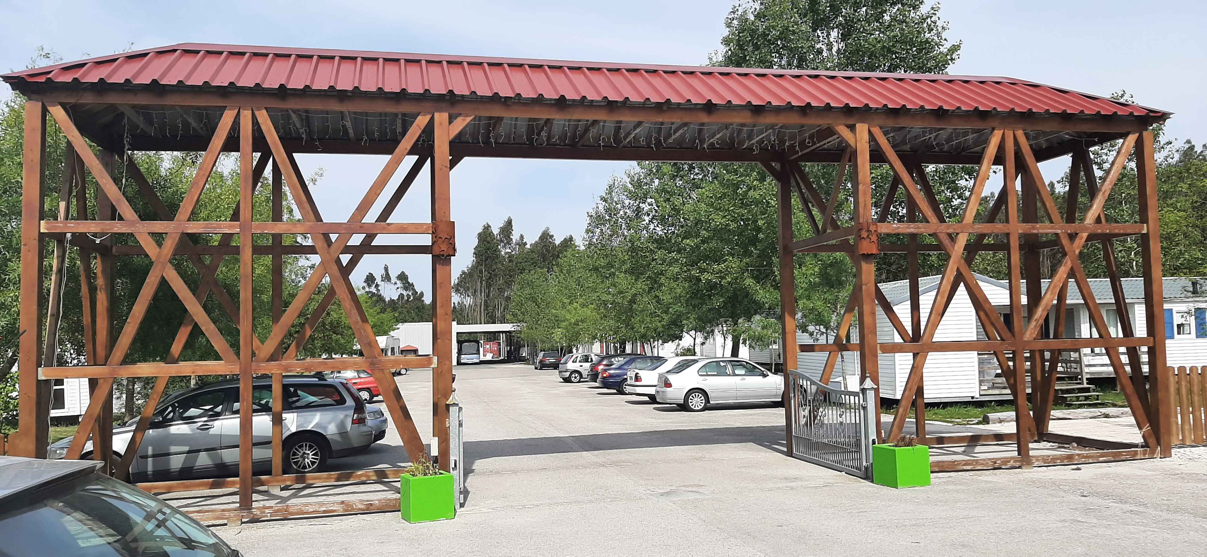 Large Image