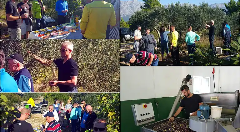 Pansion Ivan Sućuraj