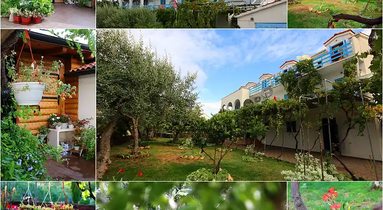 Pansion Ivan Sućuraj