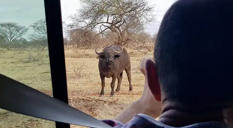 Vakantiehuis in Shimoni