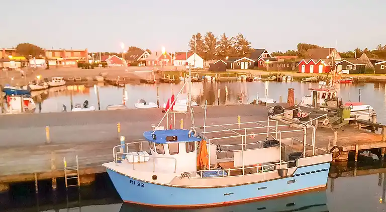 Holiday home in Denmark