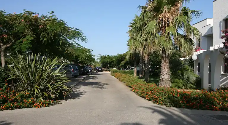 Apartamento en Villanova