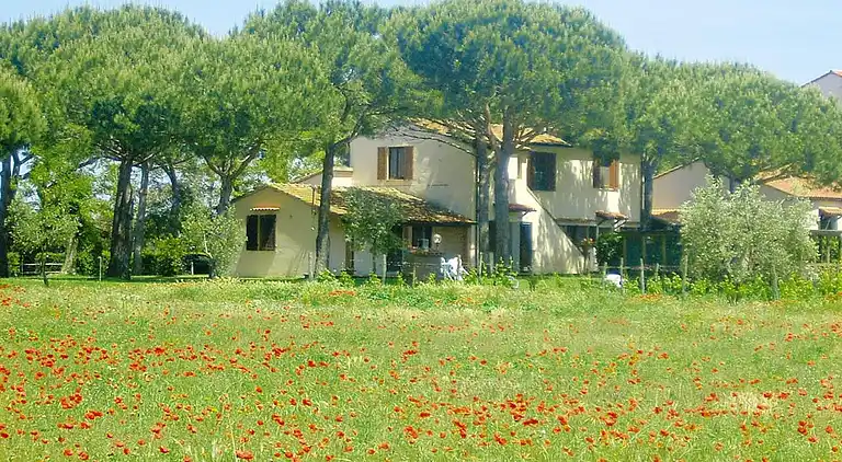Apartment in Grosseto