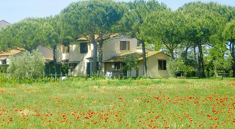 Apartment in Grosseto