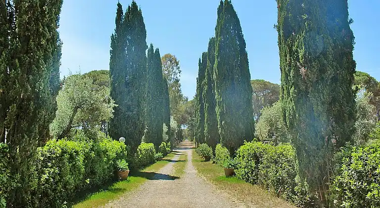 Apartment in Grosseto