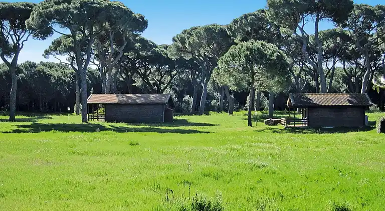 Apartment in Grosseto