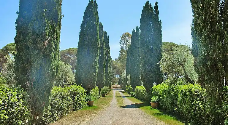 Apartment in Grosseto