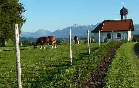 Sommerhus i Ried