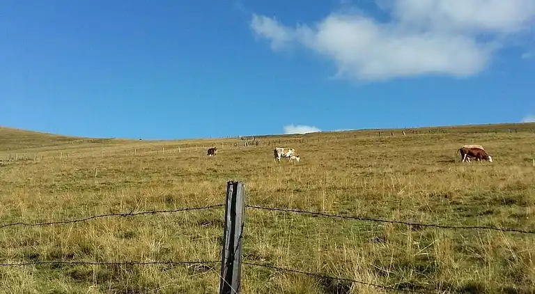 Holiday home in Falkert
