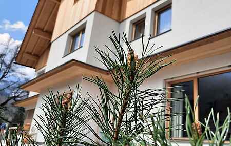 Sommerhus i San Pietro