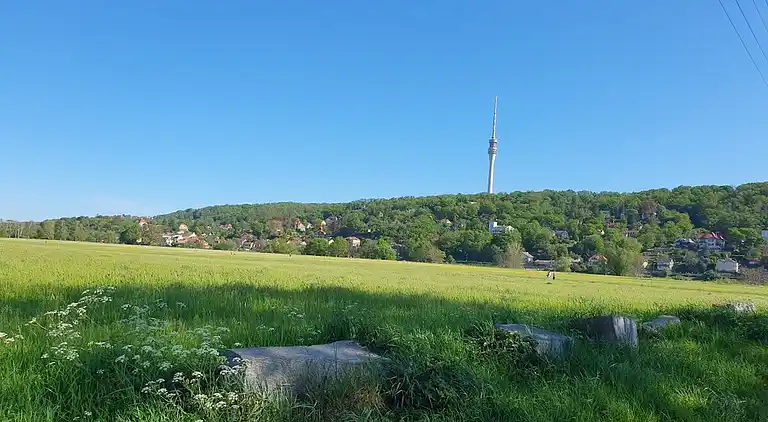 Ferienhaus in Laubegast