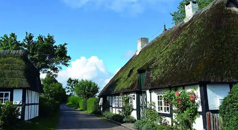 Ferienhaus in Kappeln