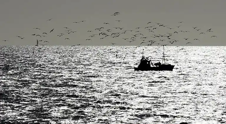 Ferienhaus in Kappeln