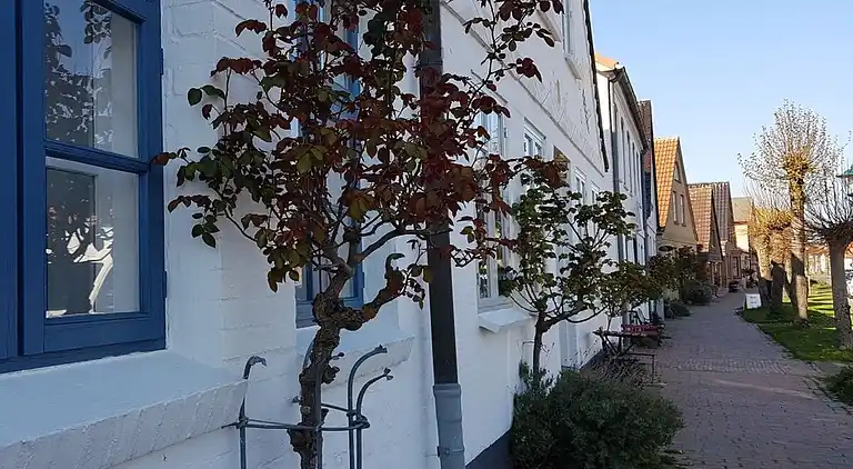 Ferienhaus in Kappeln