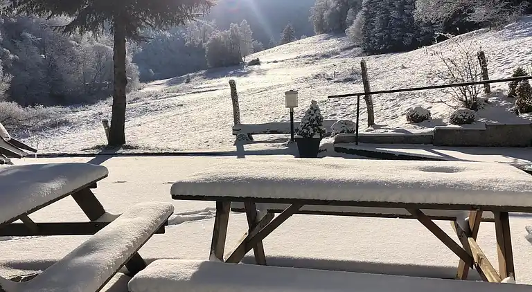 Ferienhaus in Züschen