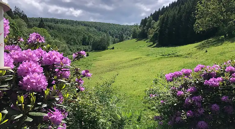 Ferienhaus in Züschen