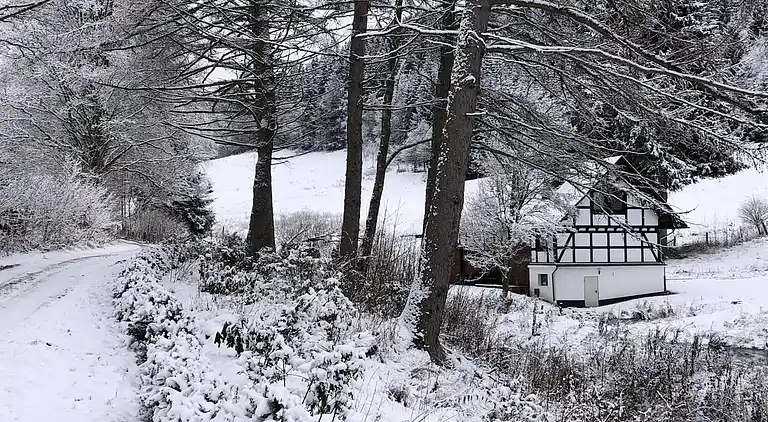 Vakantiehuis in Züschen