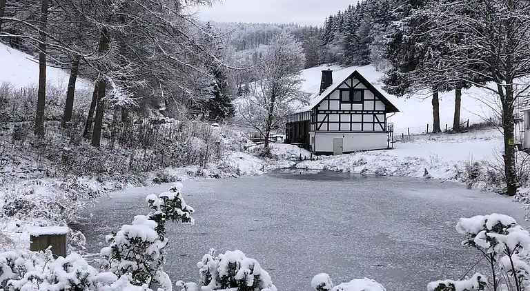 Vakantiehuis in Züschen