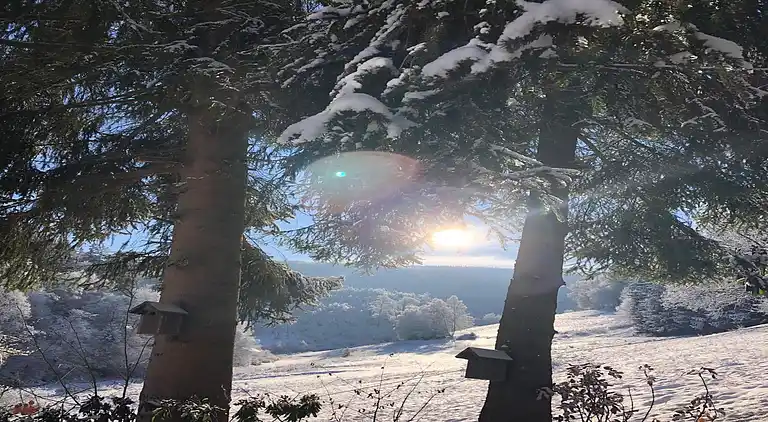 Vakantiehuis in Züschen