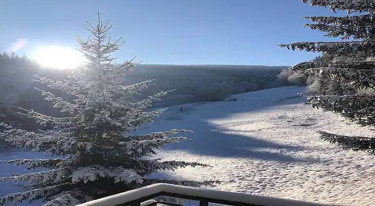 Vakantiehuis in Züschen