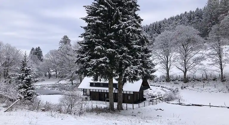 Vakantiehuis in Züschen