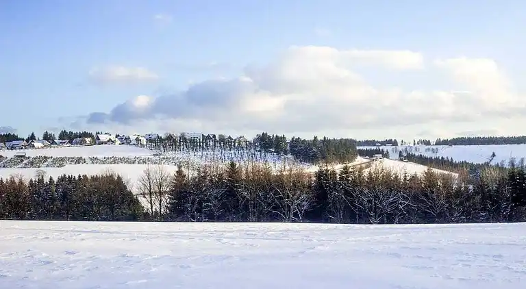 Vakantiehuis in Altastenberg