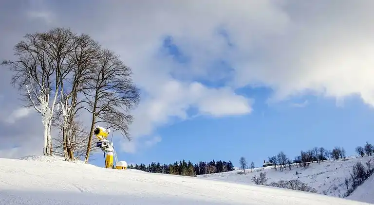 Vakantiehuis in Altastenberg