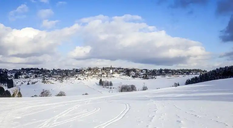 Vakantiehuis in Altastenberg