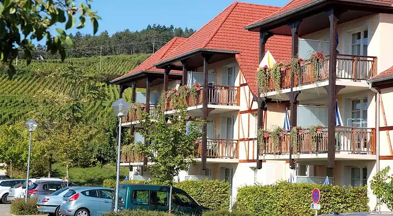 Apartment in Bergheim