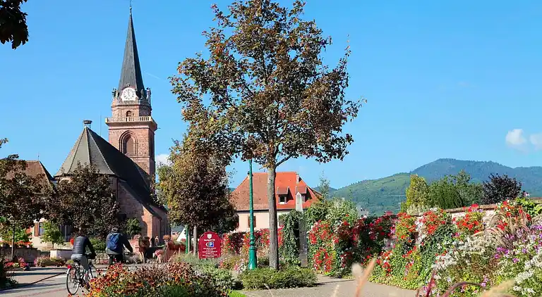 Apartment in Bergheim