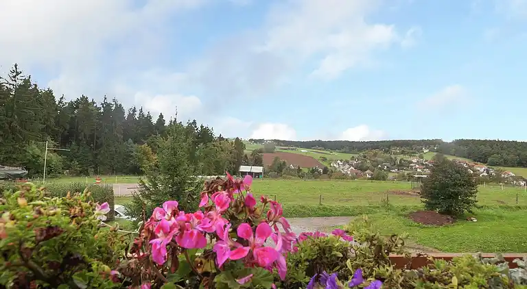 Ferielejlighed i Waldachtal