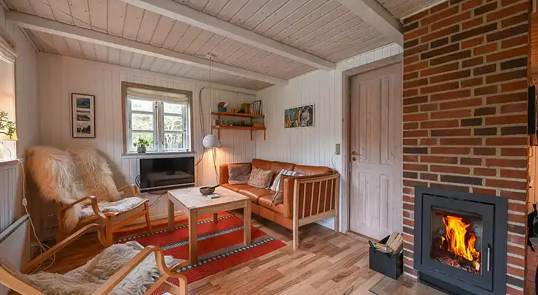 vakantiehuis in Ulfborg