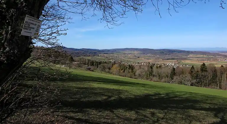 Apartment in Bavarian Forest