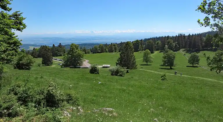 Apartment in Bavarian Forest