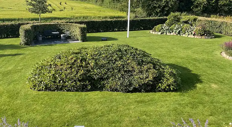 Luksuriøs landejendom midt i natur med welness