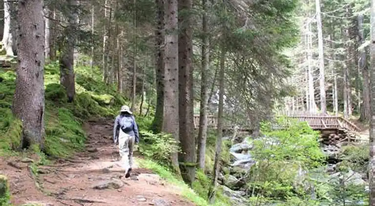 Apartment in Les Allues