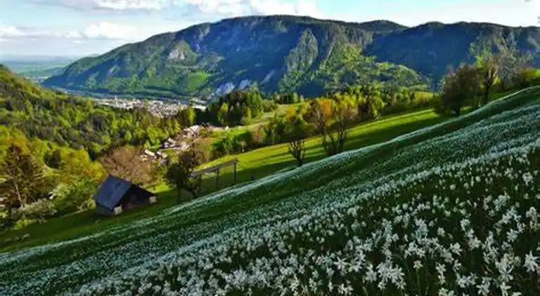 Apartment in Les Allues