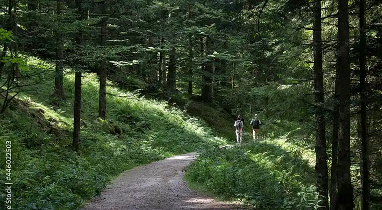 Apartment in Les Allues